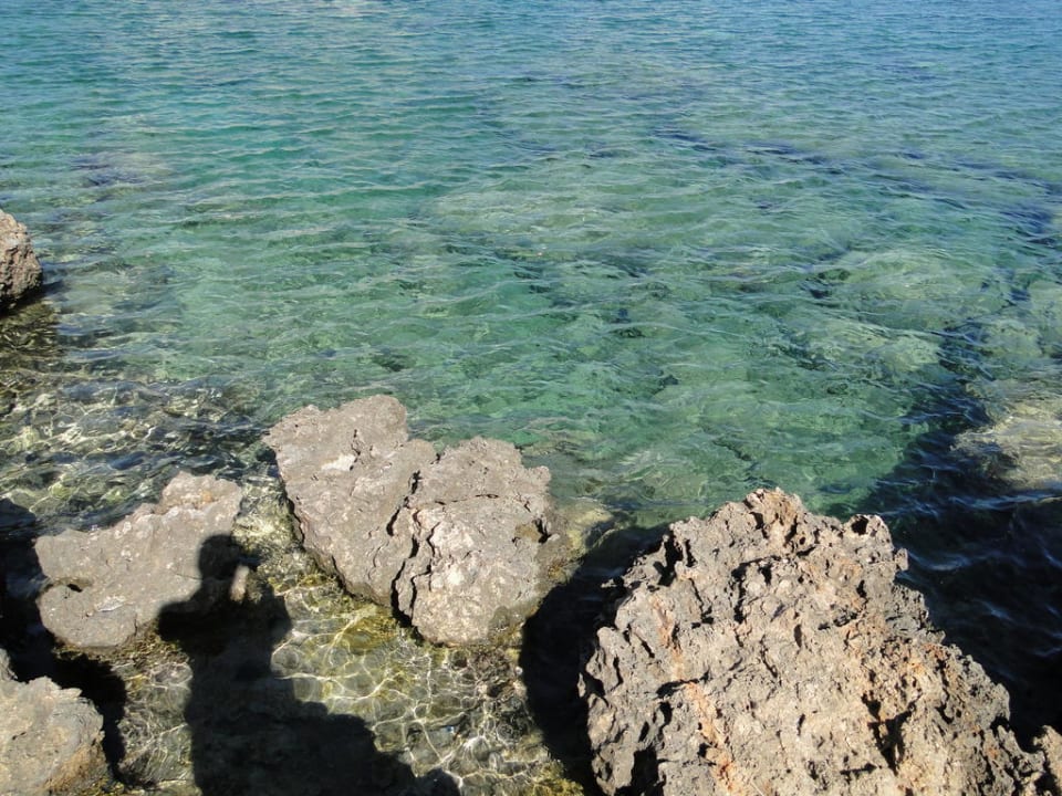 Crystal Springs Beach Hotel Crystal Springs Beach Hotel