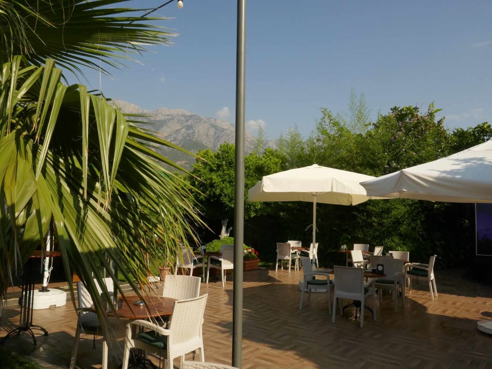 Gastro Dg Hotels Rose Resort