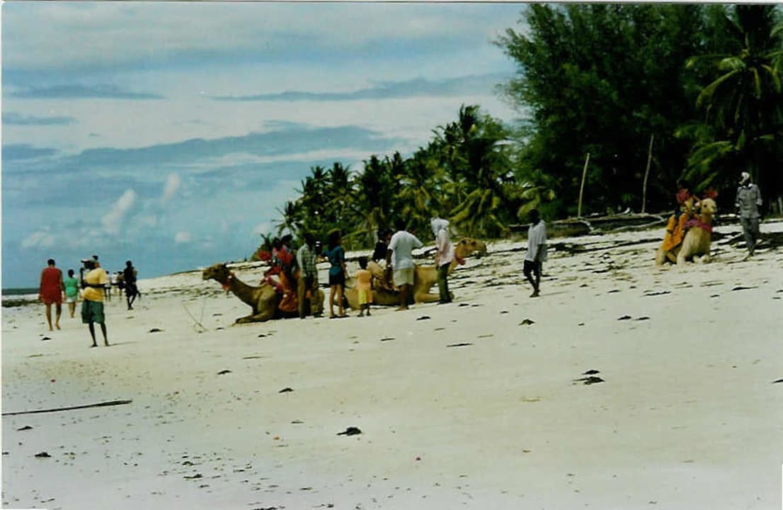 Hotelstrand Hotel Southern Palms Beach Resort