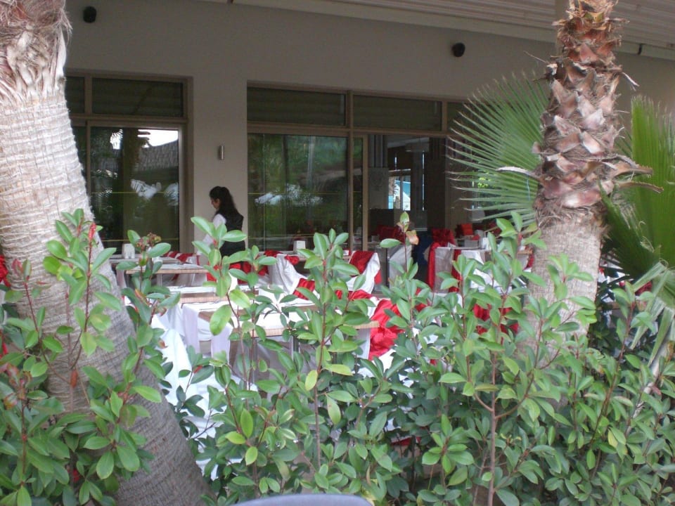 Türkischer Abend Port Side Resort Hotel