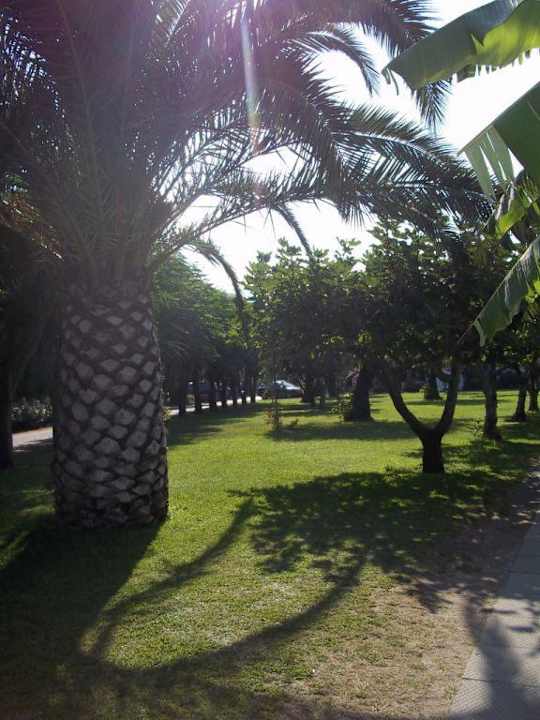 Tenuto meglio il giardino del ristorante! Nausicaa Village
