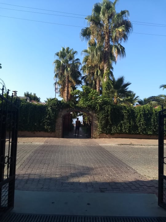 Ausblick Hotel Royal Garden Beach