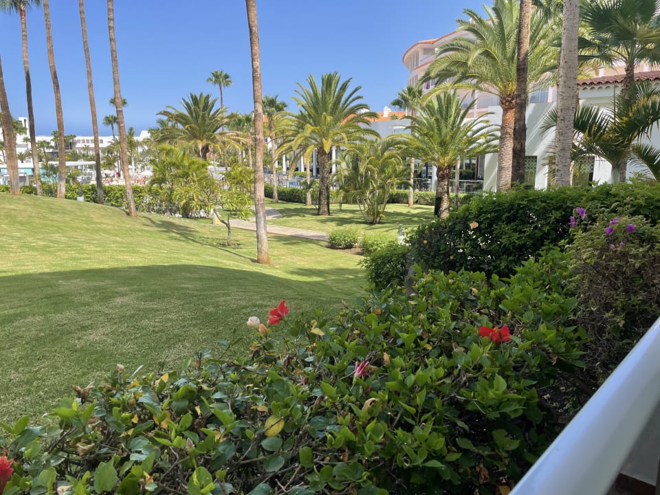 Ausblick Hotel Riu Arecas - Adults only