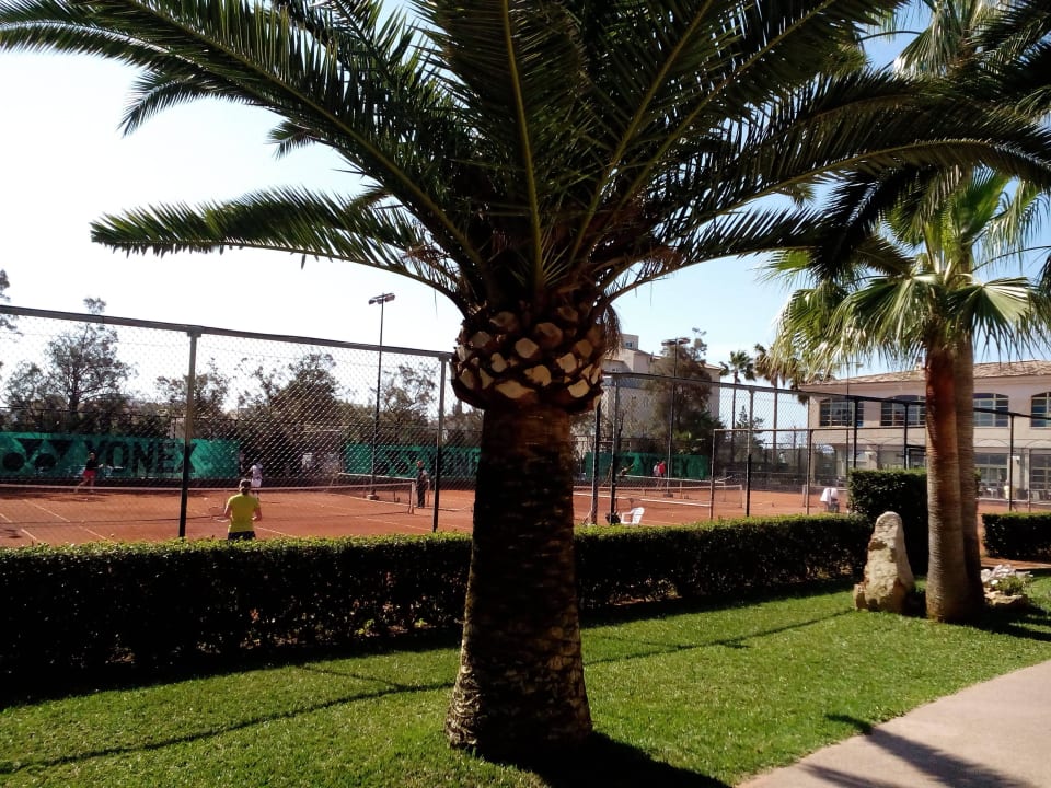 Aparthotel Club Simo in Cala Millor Club Simó Hotel by Senator