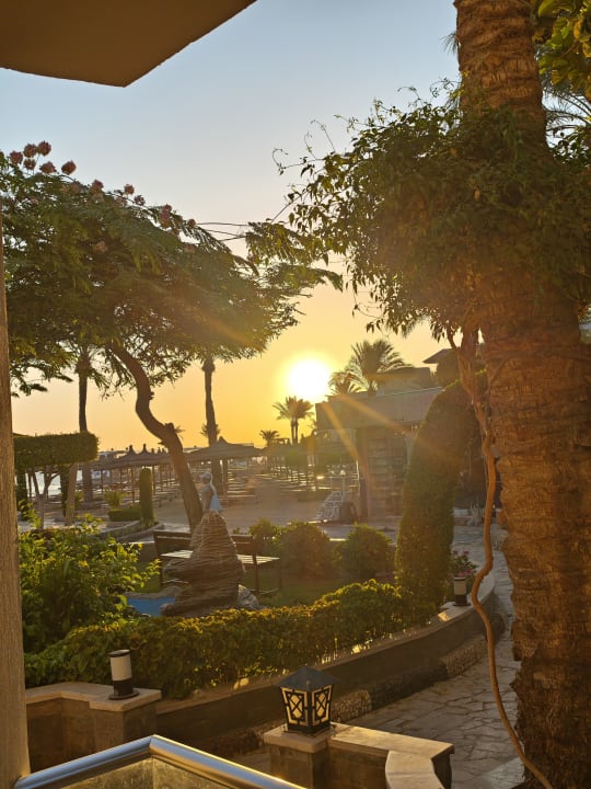Zimmer Seagull Beach Resort