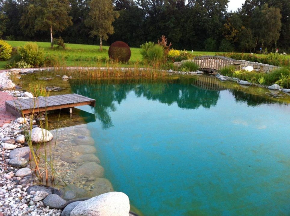 Schwimmteich Hotel Gastagwirt