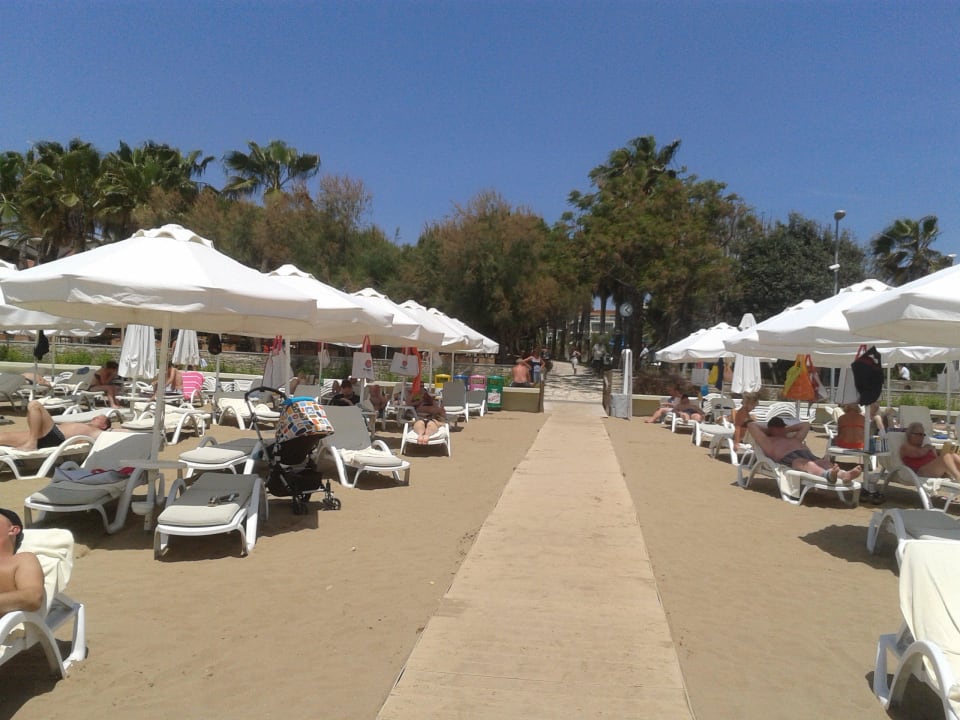 Unser Strand Arum Barut Collection