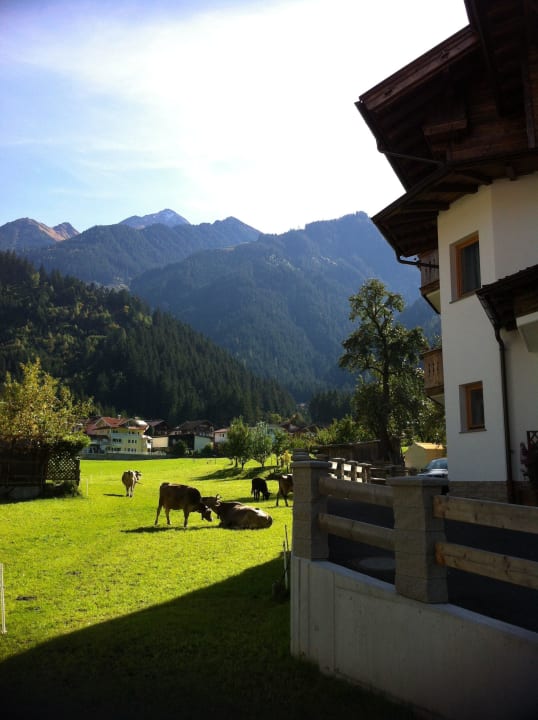 Auf die Zillertaler Bergwelt Alpenresort Thanner