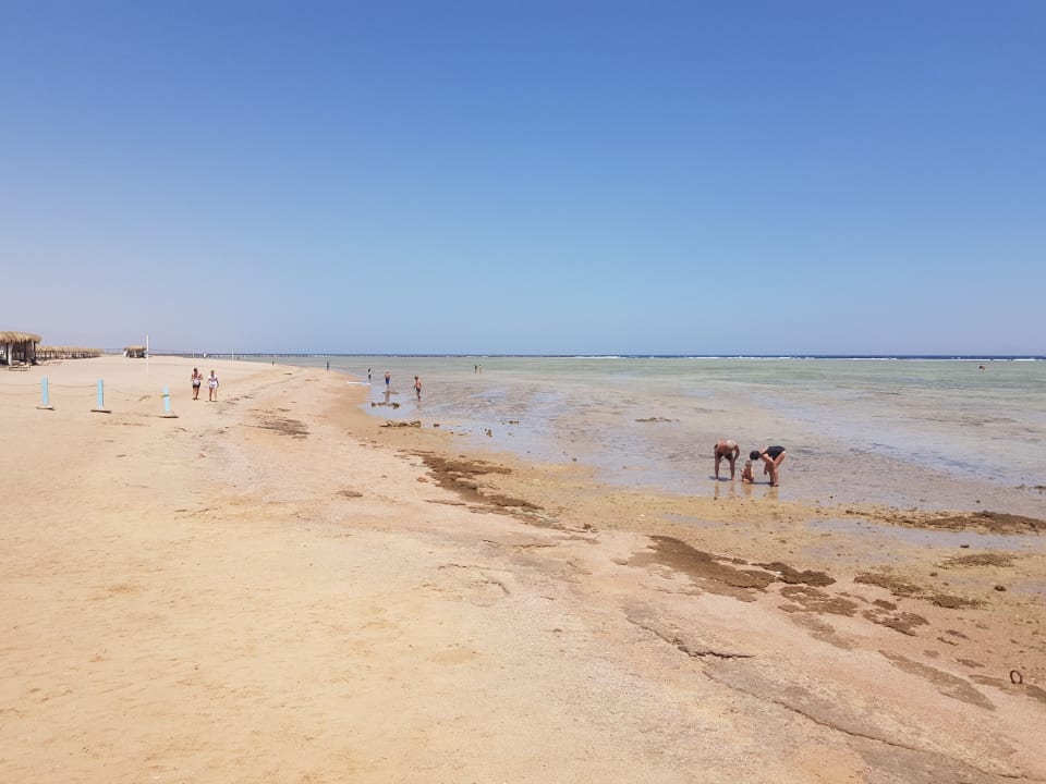 Strand Pickalbatros Royal Moderna Resort-Sharm El Sheikh