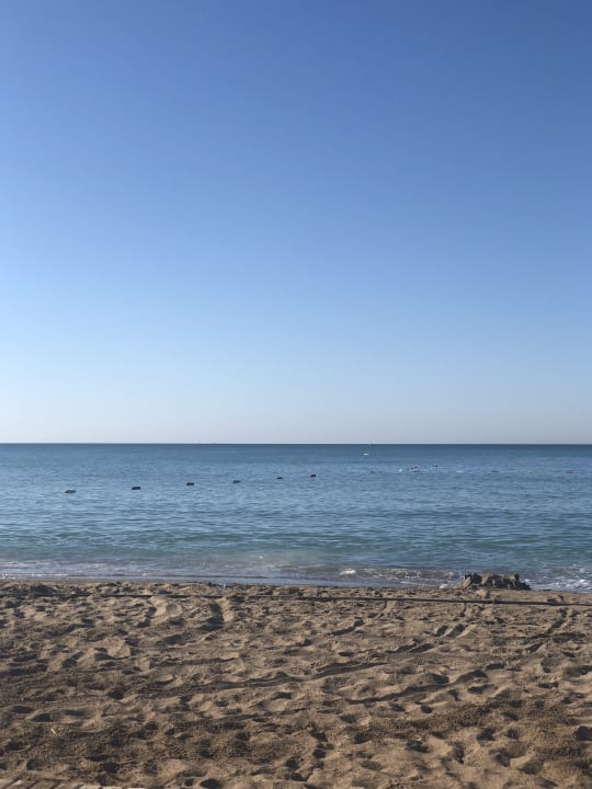 Strand Sherwood Exclusive Lara