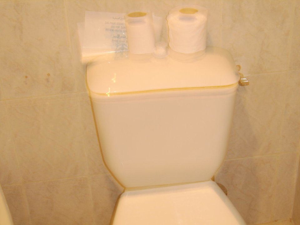 Toilette Hotel Amir Palace