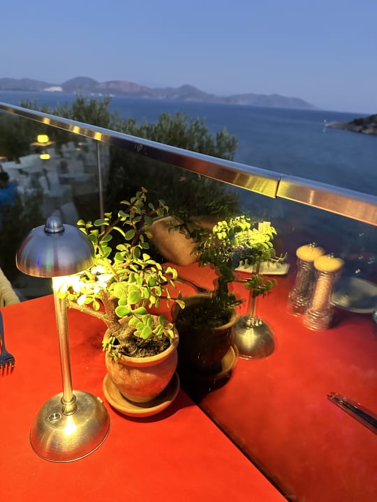 Gastro TUI BLUE Seno - Adults Only