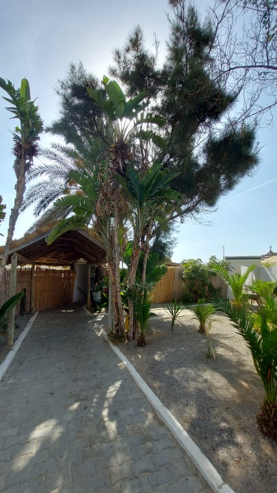 Strand Hotel Royal Nozha