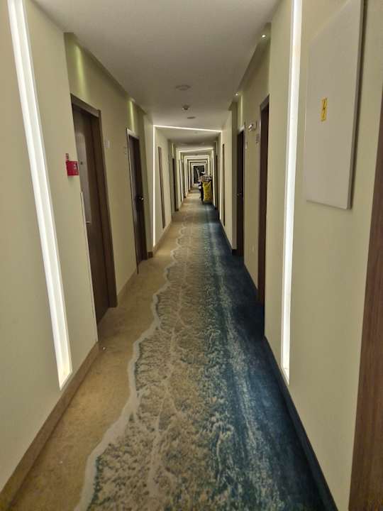 Zimmer Sentido Marea