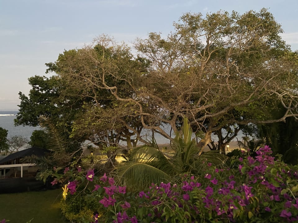 Gartenanlage Hyatt Regency Bali