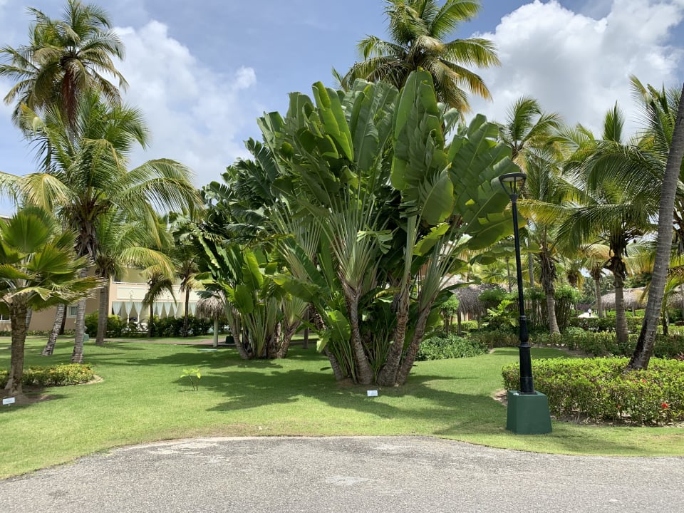 Gartenanlage Grand Palladium Select Bávaro Resort & Spa
