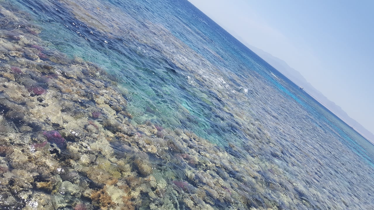 Strand The Breakers Diving & Surfing Lodge