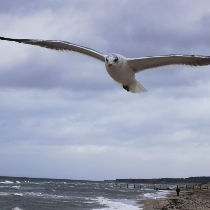 Strand Ferienwohnungen Ferienpark Weissenhäuser Strand