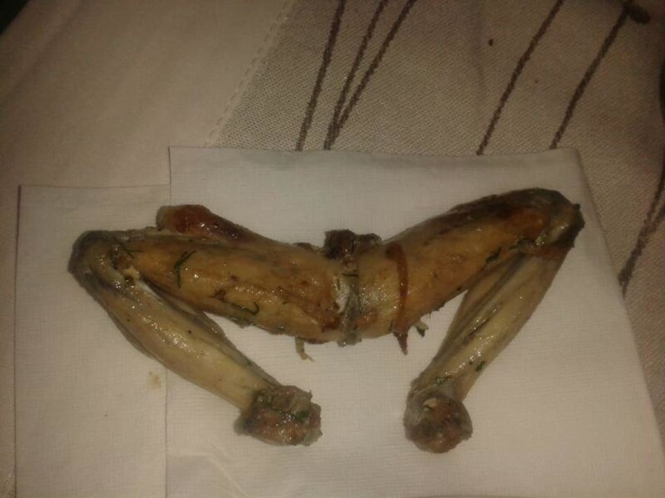 Wow waren die gut Froschschenkel Hotel Delphin Imperial