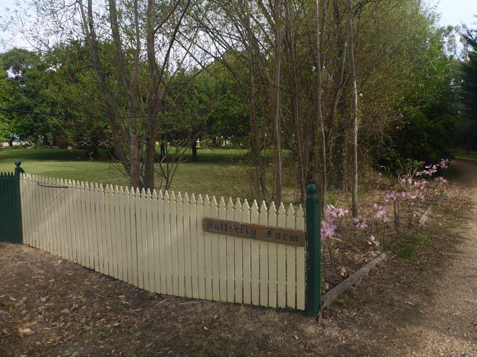 Sonstiges Butterfly Farm