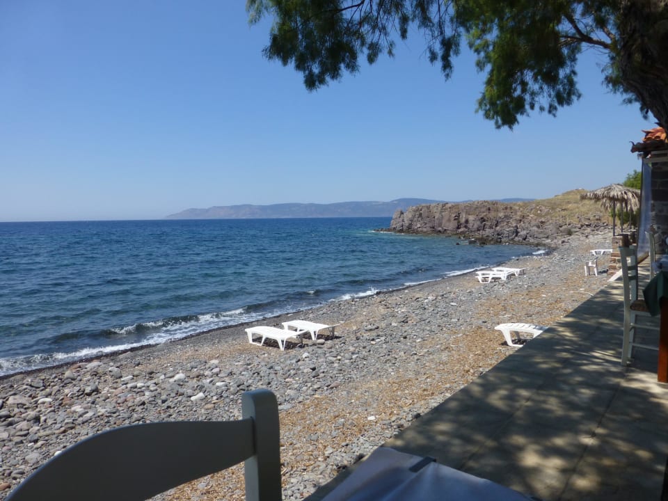 Blick aus der Taverne auf den Strand Aphrodite Hotel