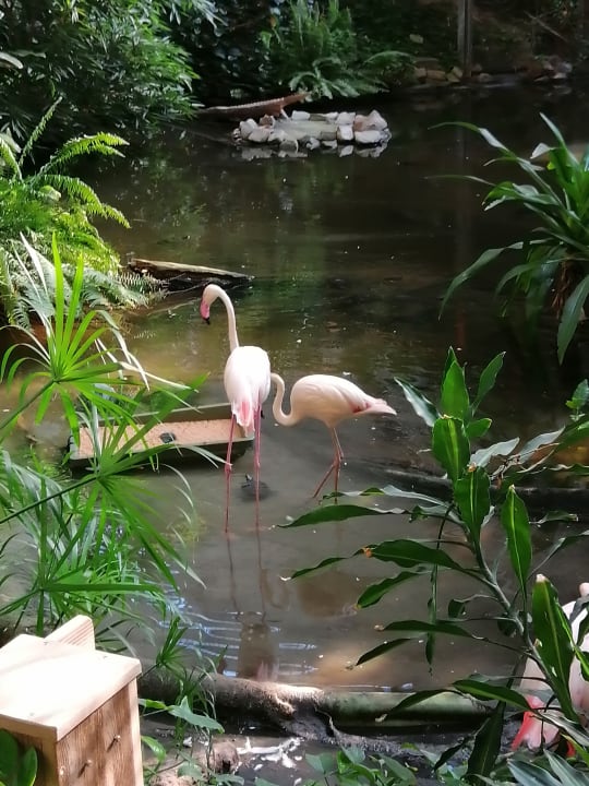 Gartenanlage Tropical Islands Resort