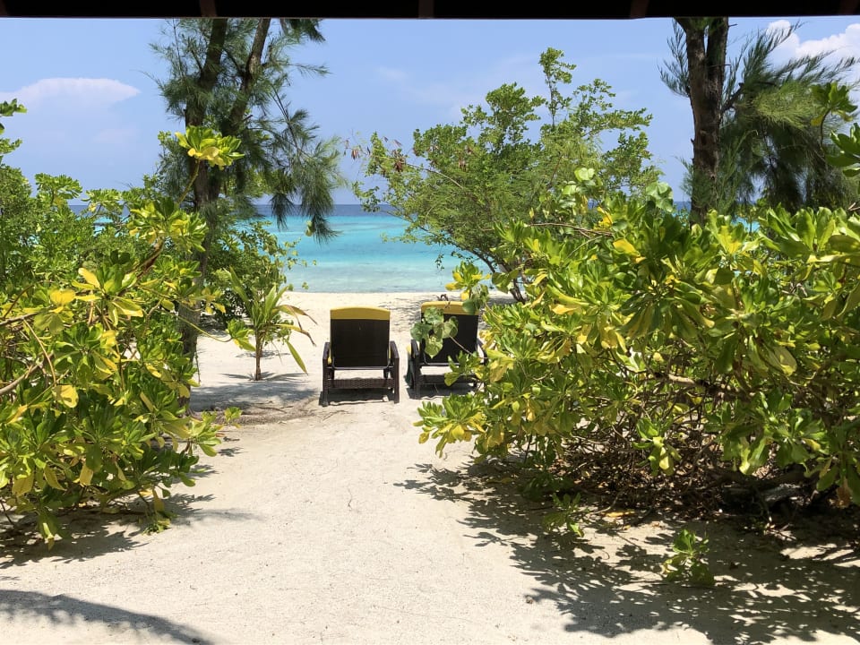 Ausblick Summer Island Maldives