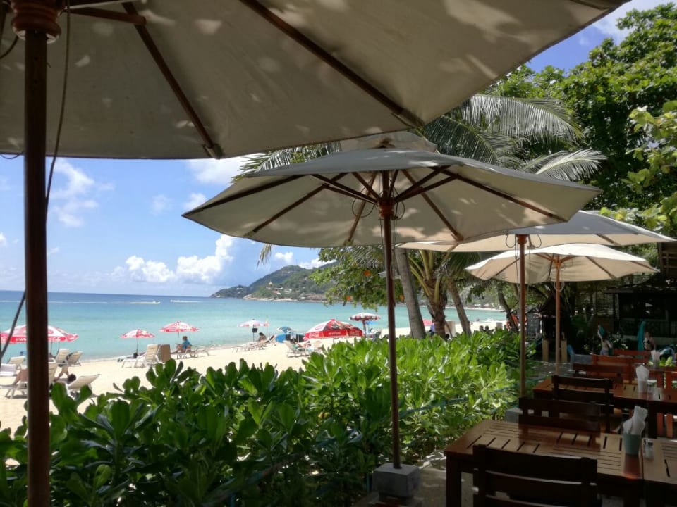 Ausblick The Fair House Beach Resort