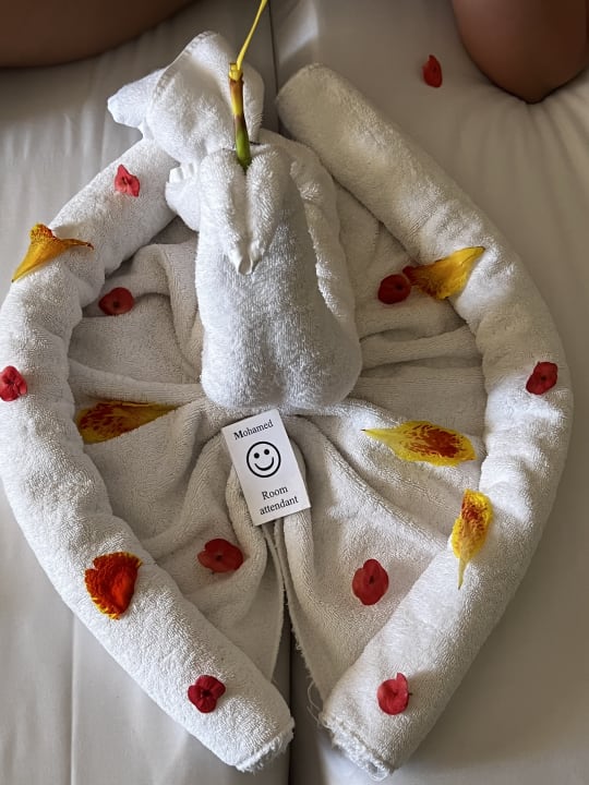 Zimmer Jaz Dar EL Madina