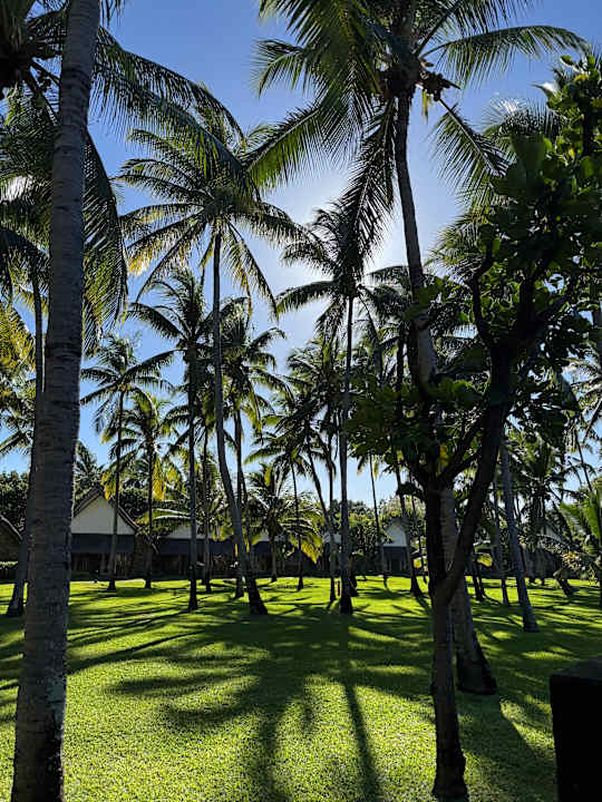 Gartenanlage La Pirogue Mauritius
