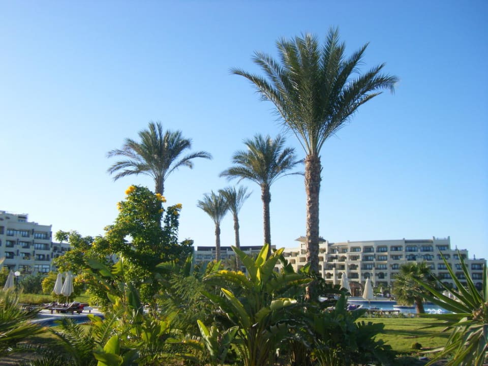 Garten, Hotel Steigenberger ALDAU Beach Hotel