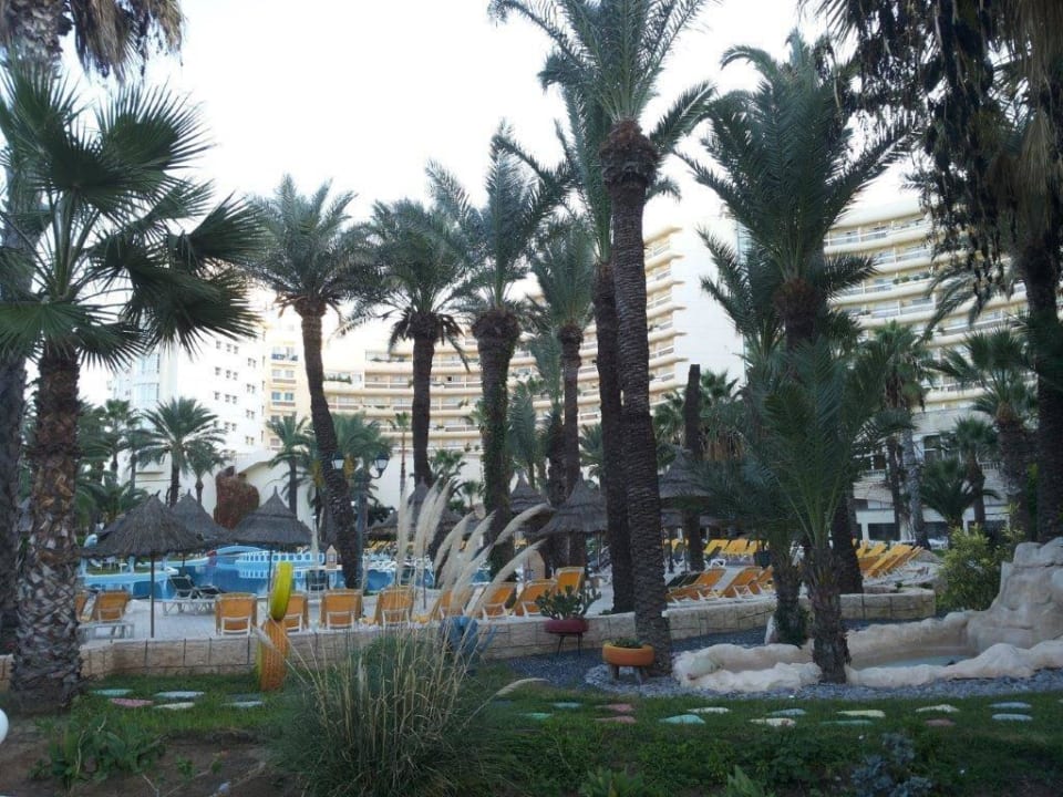 Pool-Gartenanlage Riadh Palms Resort & Spa