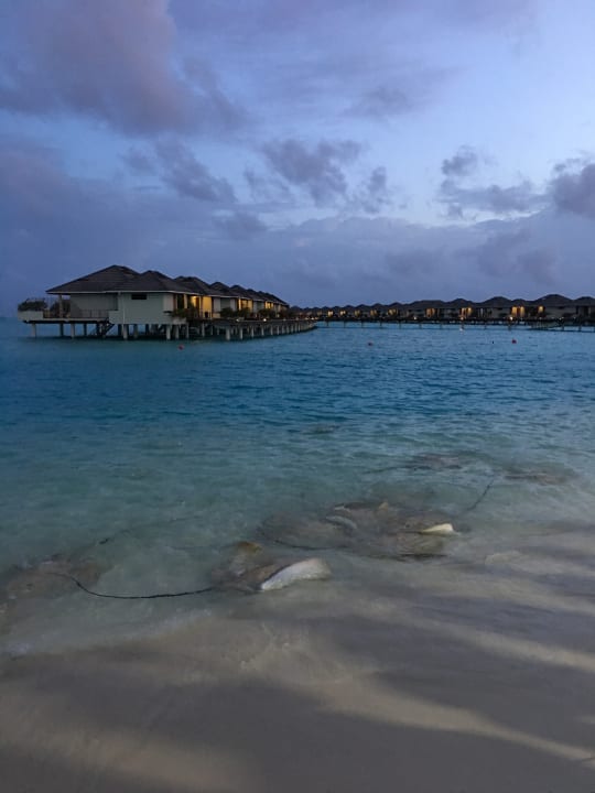 Außenansicht Villa Park Sun Island