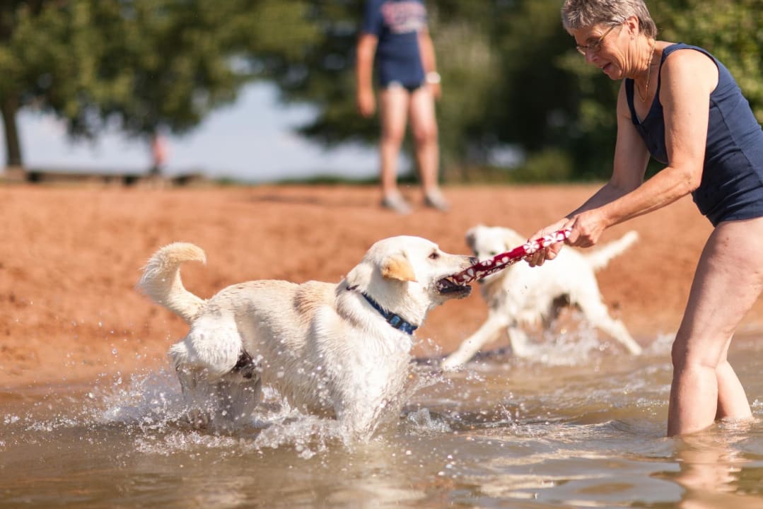 Hundespielplatz/ Hundebadestrand Hotel Reiterhof Altmühlsee