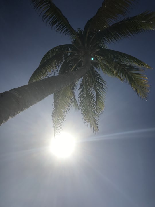 Strand Secrets Akumal Riviera Maya - Adults only