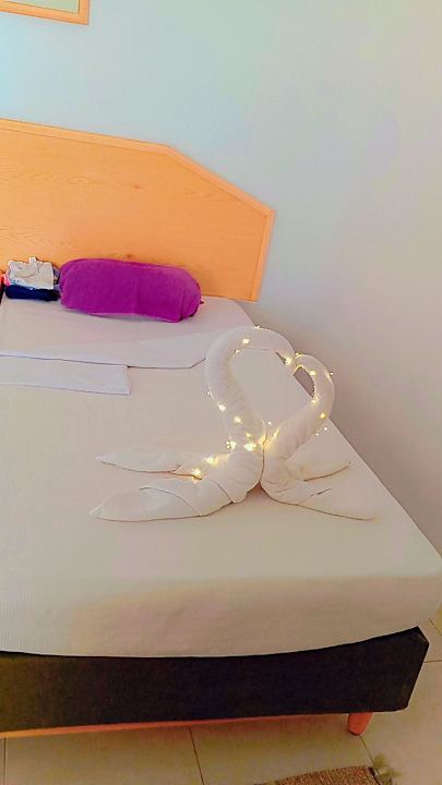 Zimmer Menaville Safaga