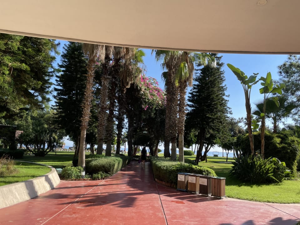 Gartenanlage TUI MAGIC LIFE Beldibi +16