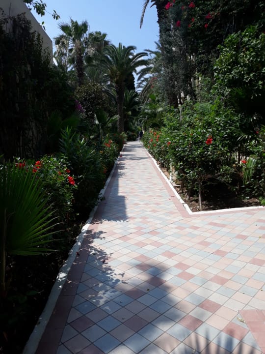 Gartenanlage Hotel Paradis Palace