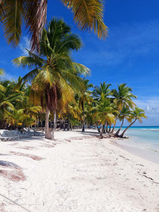 Strand Grand Palladium Punta Cana Resort & Spa