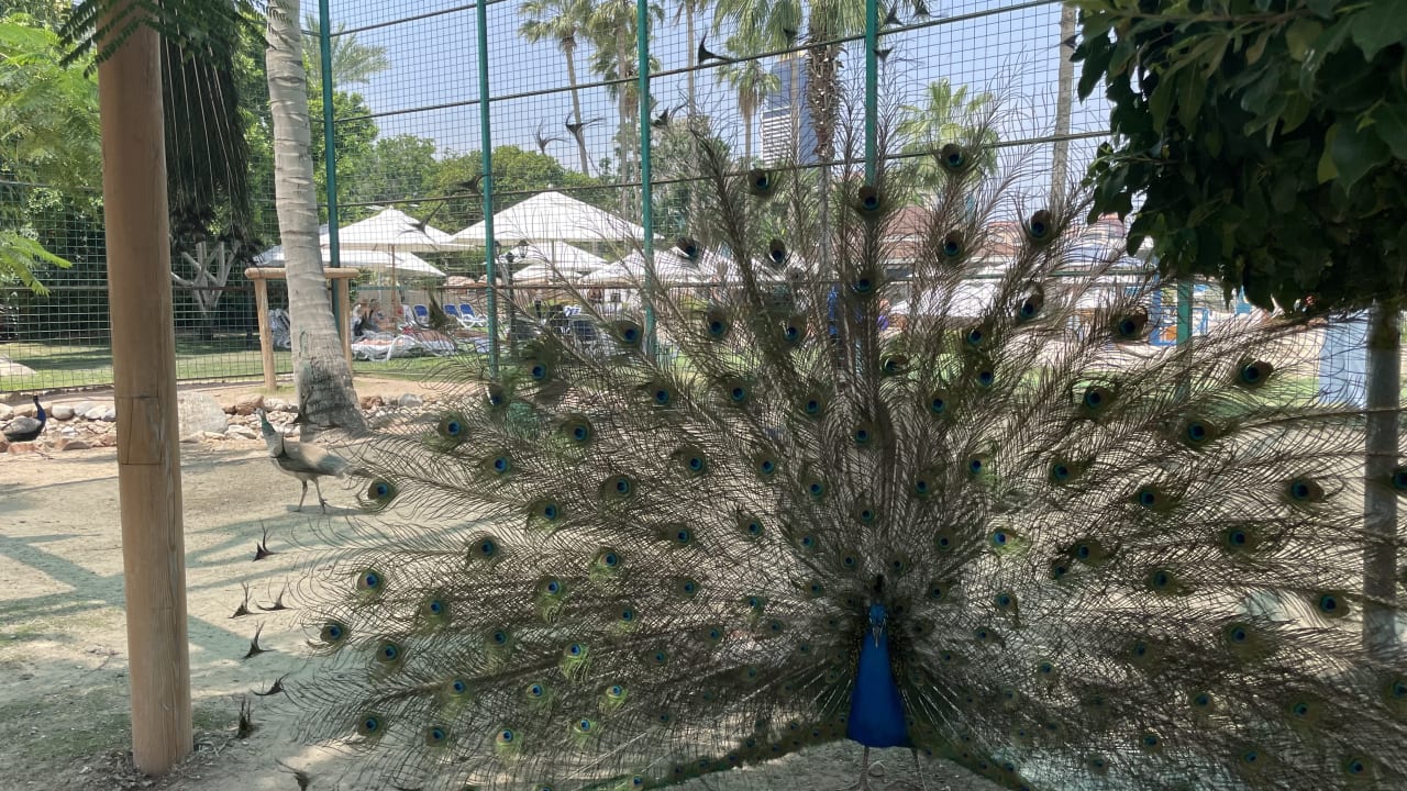 Sport & Freizeit Grand Hyatt Dubai