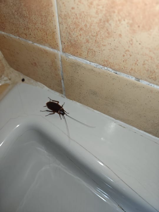 Zimmer Hotel Riu Touareg