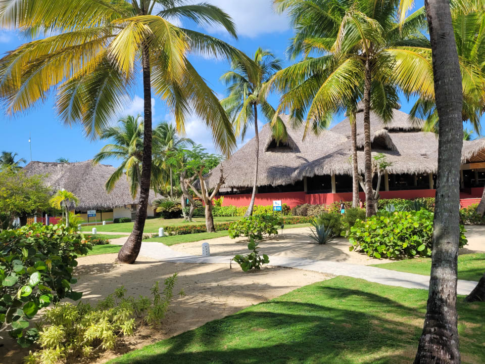 Außenansicht Catalonia Royal La Romana - Adults only