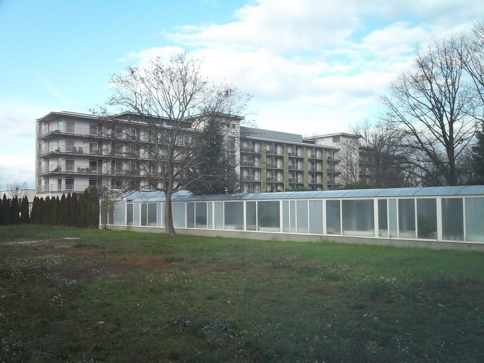 Repce Gold Hunguest Bük