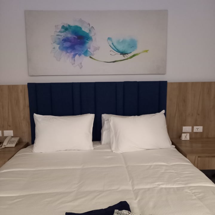 Zimmer Pickalbatros Blu Spa Resort