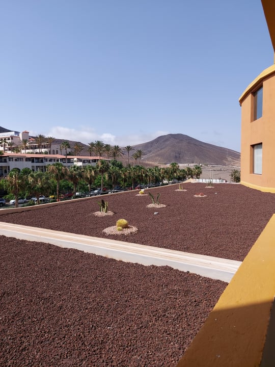 Ausblick Occidental Jandía Playa