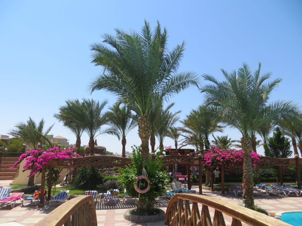 Schöne Palmen Riviera Aqua Park Resort