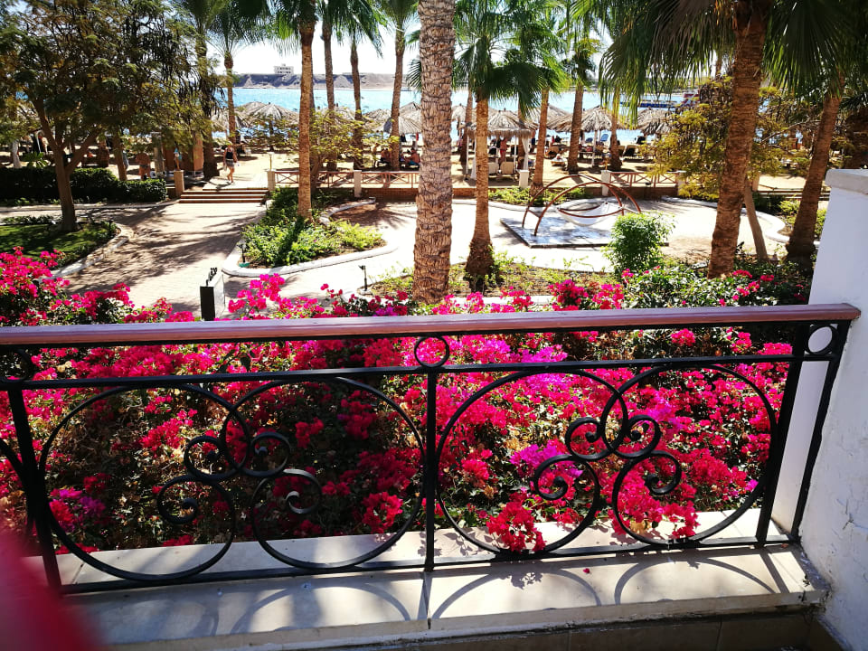 Ausblick Iberotel Palace