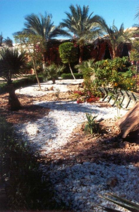 Hotelgarten Jaz Makadi Oasis Resort