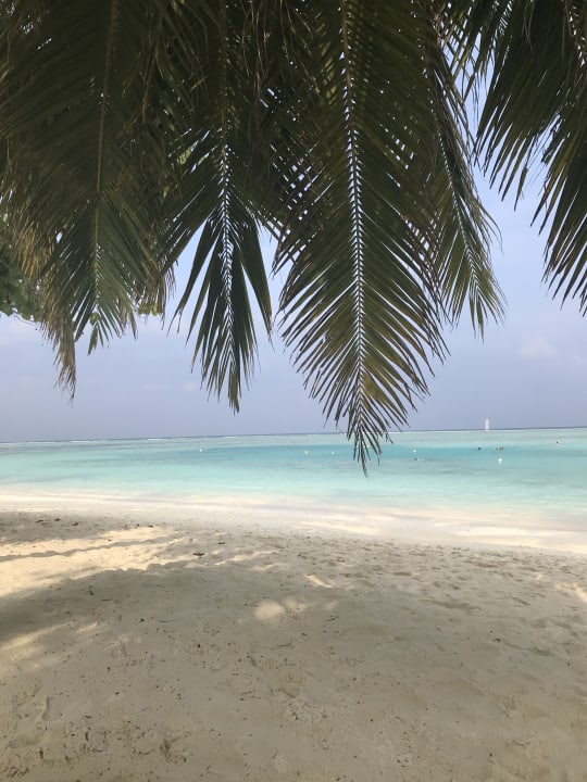 Strand Meeru Maldives Resort Island