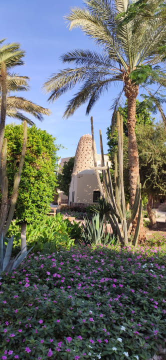 Gartenanlage Shams Alam Beach Resort